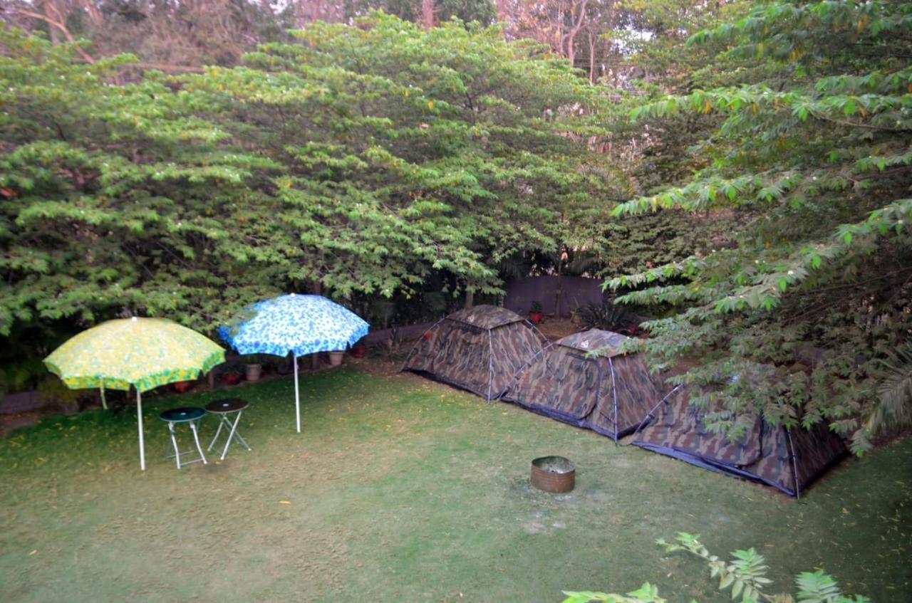 Dandeli Jungle Resort Exterior photo
