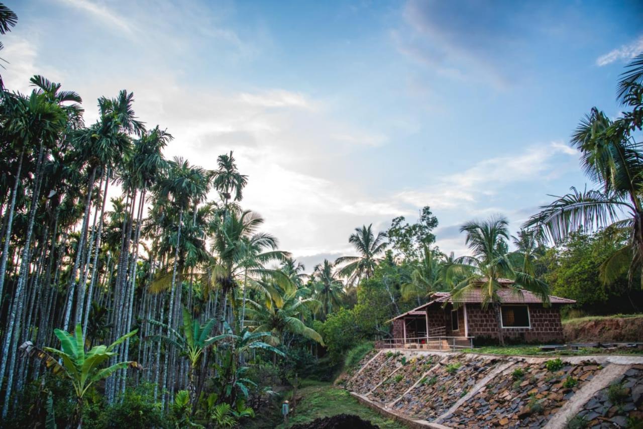 Dandeli Jungle Resort Exterior photo