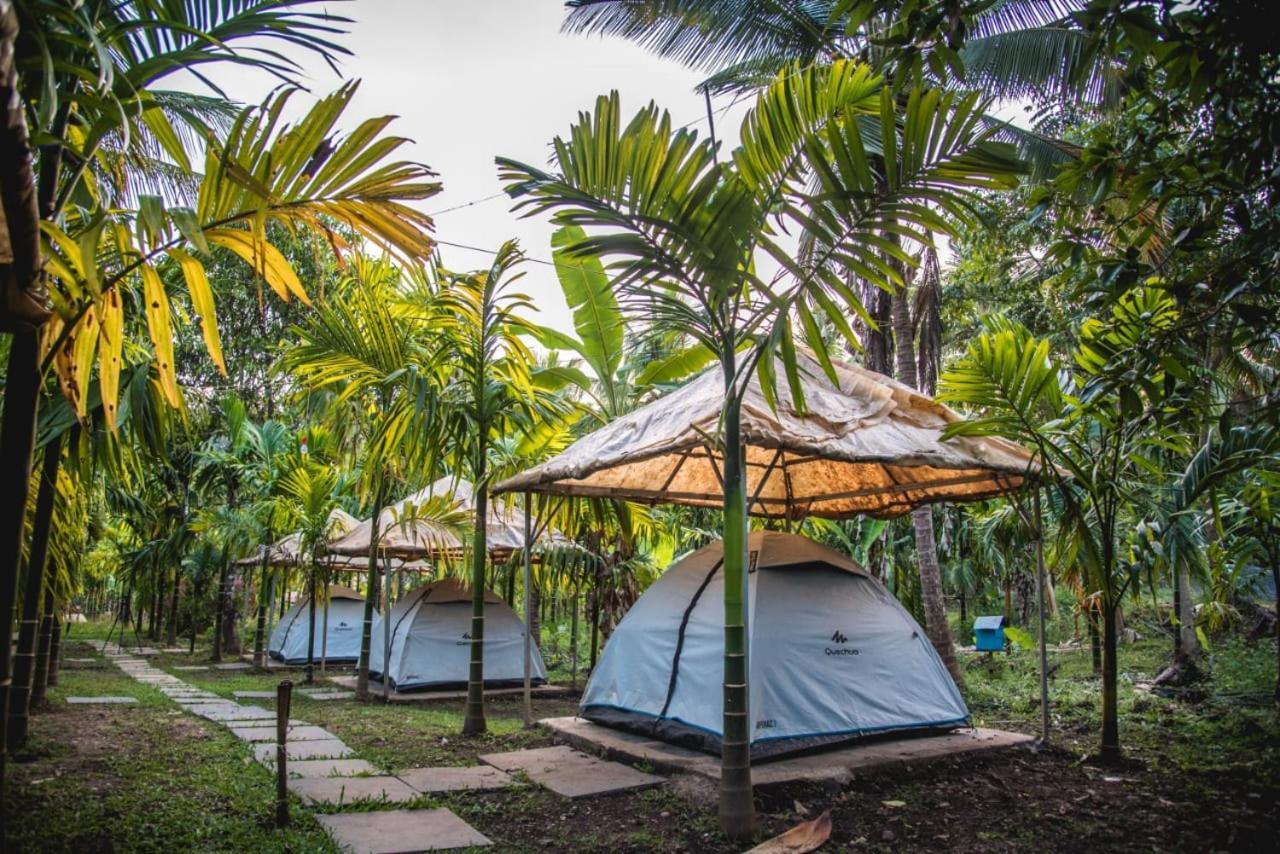 Dandeli Jungle Resort Room photo